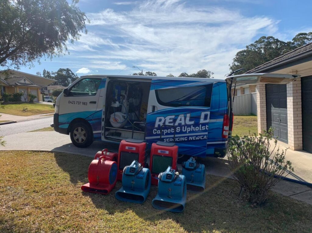 Carpet Cleaning & Pest Control Services Fletcher &raquo;