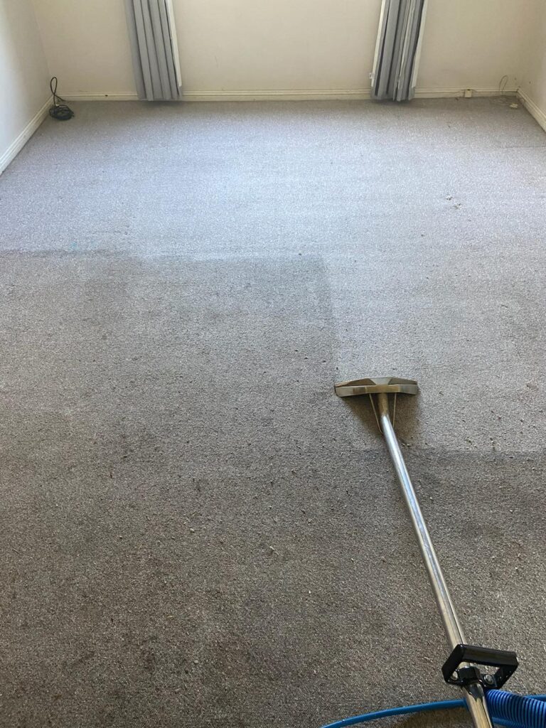 Carpet Cleaning & Pest Control Services Fletcher &raquo;