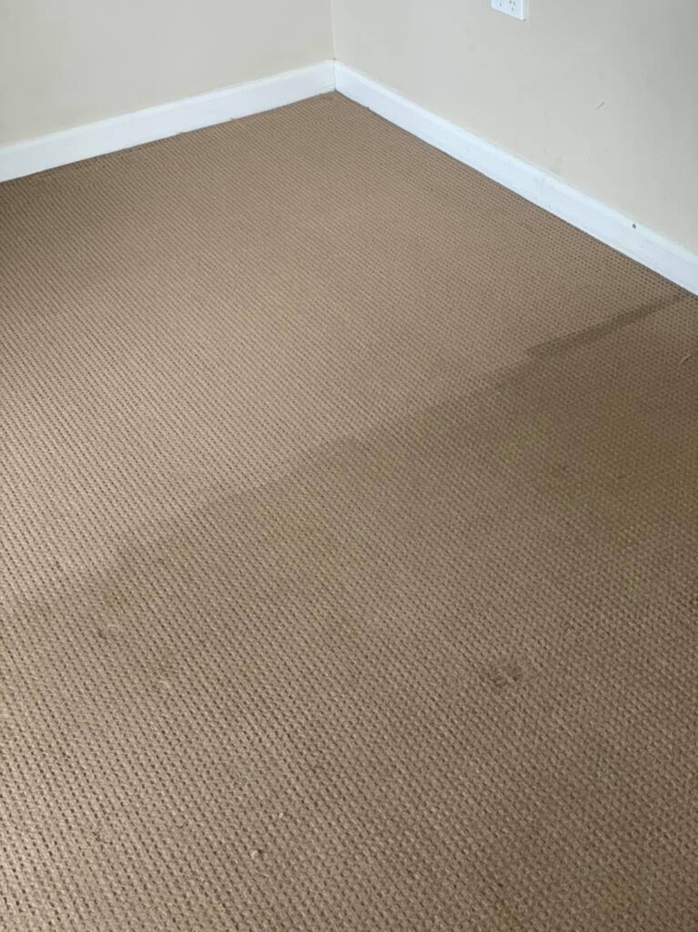 Carpet Cleaning & Pest Control Services Raymond Terrace &raquo;