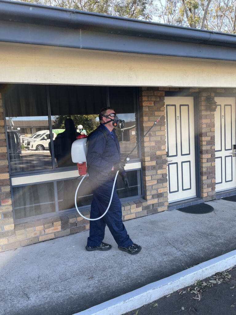 Carpet Cleaning & Pest Control in Kurri Kurri, NSW »